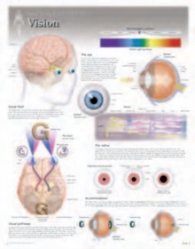 Image for Vision Laminated Poster
