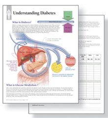 Understanding Diabetes Study Set Replacement Pads