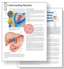 Image for Understanding Hepatitis Study Set Replacement Pads