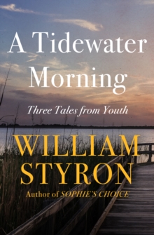 Image for A tidewater morning: three tales from youth