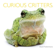 Image for Curious Critters