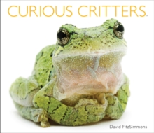 Image for Curious Critters Volume Two