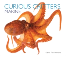 Curious Critters Marine