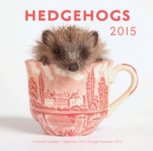 Image for Hedgehogs : 16-Month Calendar September 2104 Through December 2015