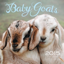 Image for Baby Goats : 16-Month Calendar Includes September 2014 Through December 2015