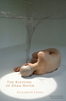 Image for The blessing of dark water