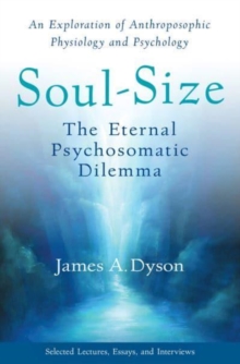 Image for Soul-Size