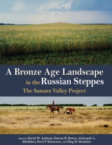 Image for A Bronze Age Landscape in the Russian Steppes
