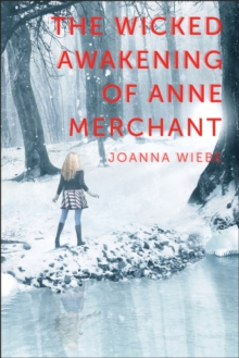 Image for The wicked awakening of Anne Merchant