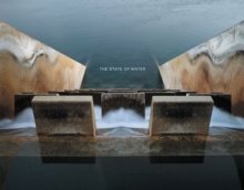 Brad Temkin: The State of Water