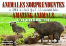 Image for Animales Sorprendentes / Amazing Animals - English & Spanish Bilingual Edition