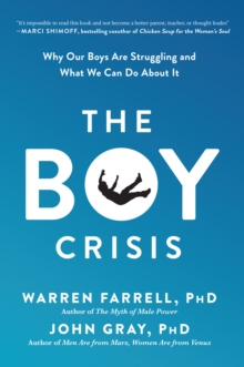 Image for The boy crisis: why our boys are struggling and what we can do about it