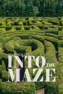 Image for Into the Maze