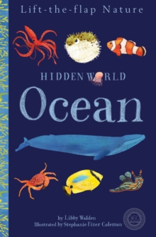 Image for Hidden World: Ocean