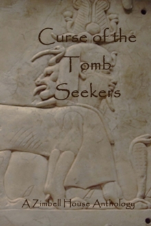 Image for Curse of the Tomb Seekers