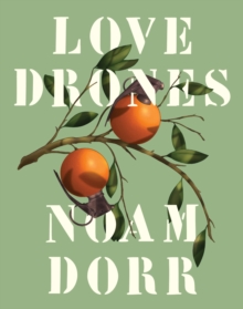 Image for Love drones: essays