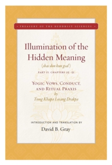 Image for Illumination of the hidden meaning