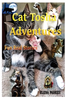 Image for Cat Tosha Adventures