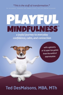 Image for Playful Mindfulness