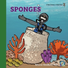 Image for Sponges