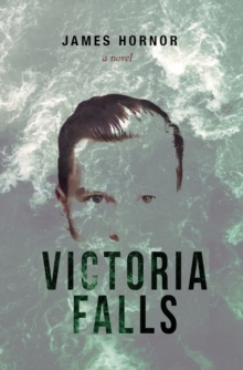Image for Victoria falls