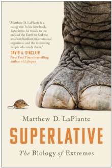 Image for Superlative
