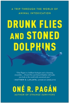 Drunk Flies and Stoned Dolphins