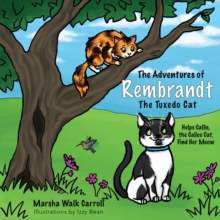Adventures of Rembrandt the Tuxedo Cat