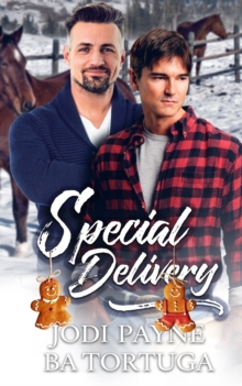 Image for Special Delivery : A Wrecked Holiday Novel