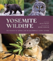 Image for Yosemite Wildlife
