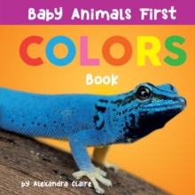 Image for Baby animals first colors book