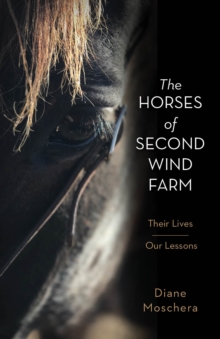 Horses of Second Wind Farm