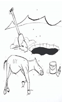 Image for Bury Your Horses