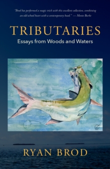 Image for Tributaries: Essays from Woods and Waters