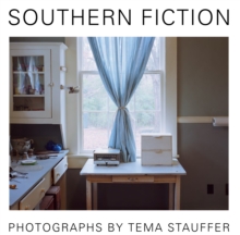 Image for Southern fiction