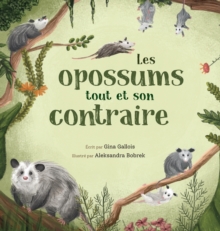Image for Les opossums : tout et son contraire