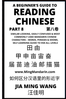 Image for A Beginner's Guide To Reading Chinese (Part 8)