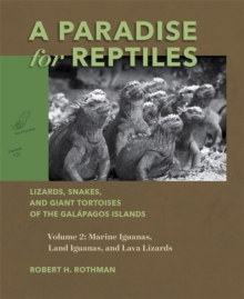 Paradise for Reptiles