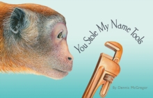 Image for You Stole My Name Tools