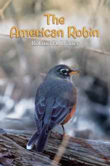 Image for American Robin