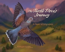 Image for The Turtle Dove's Journey
