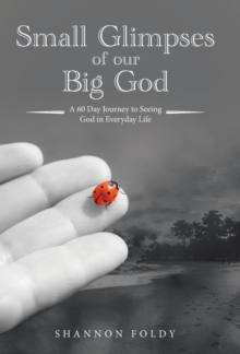 Small Glimpses of Our Big God