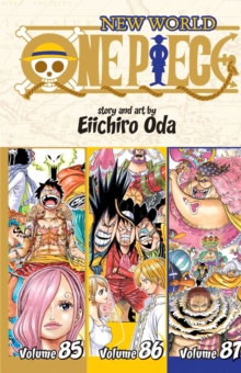Image for One Piece (Omnibus Edition), Vol. 29
