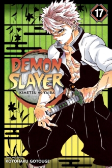 Image for Demon Slayer: Kimetsu no Yaiba, Vol. 17