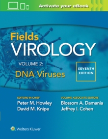 Image for Fields Virology: DNA Viruses