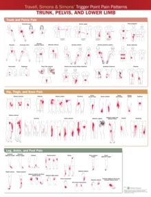 Image for Travell, Simons & Simons’ Trigger Point Pain Patterns Wall Chart : Trunk, Pelvis, and Lower Limb