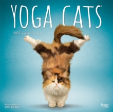 Image for Yoga Cats 2021 Square Calendar