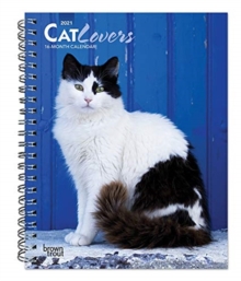 CAT LOVERS 2021 ENGAGEMENT