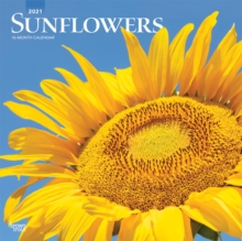 SUNFLOWERS 2021 SQUARE