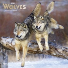 Image for Wolves 2021 Square Foil Calendar